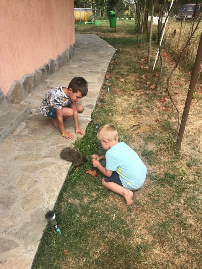 Стаи За Гости Тони Ribarica Exterior foto
